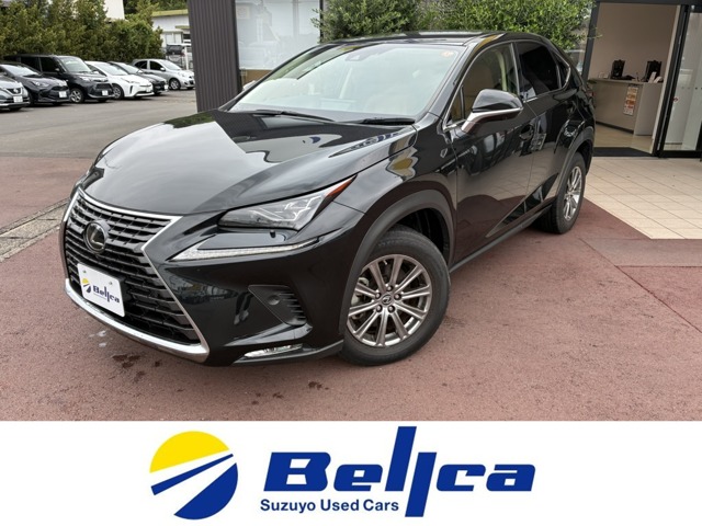 NX 2021/R03