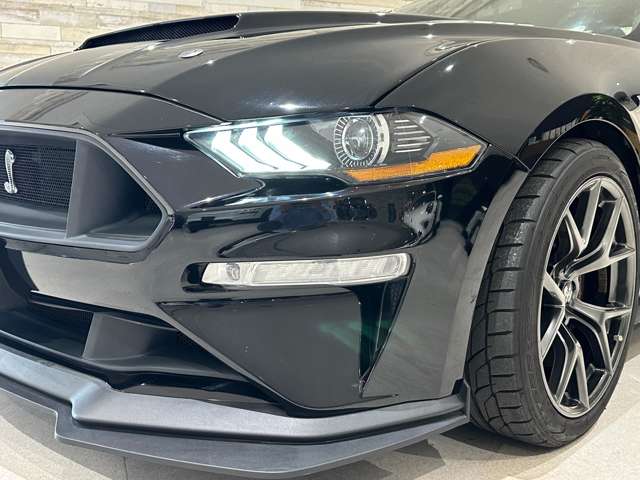 マスタング 2021/R03