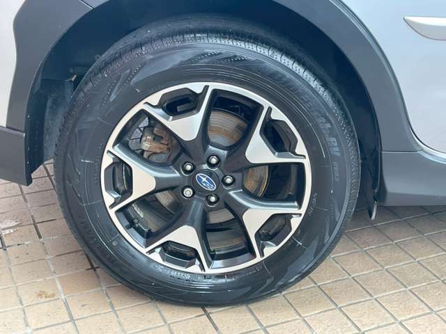 XV 2019/R01