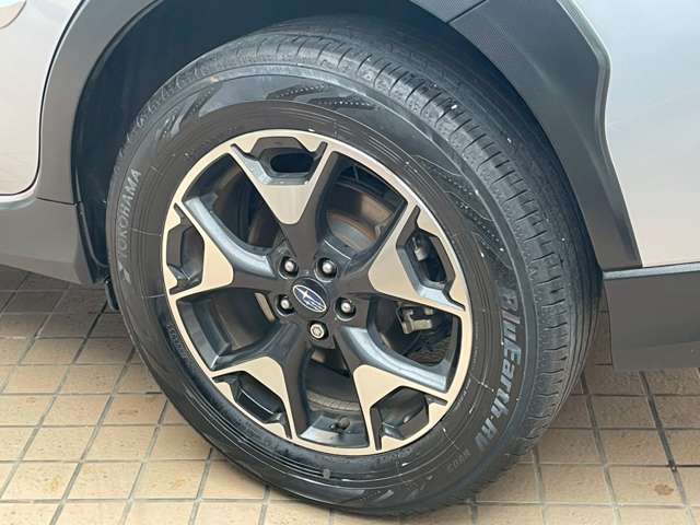 XV 2019/R01