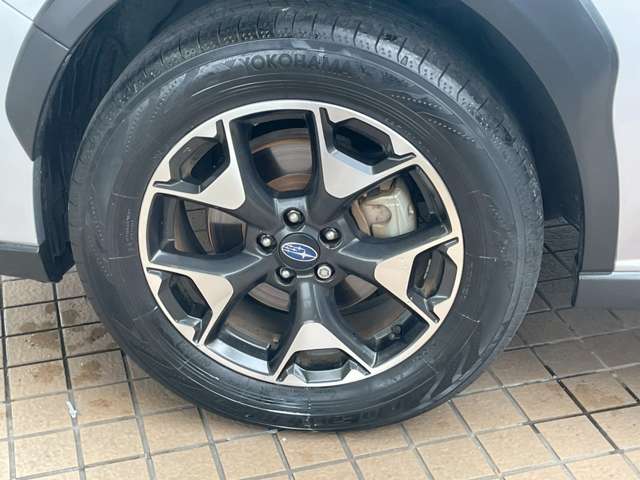 XV 2019/R01