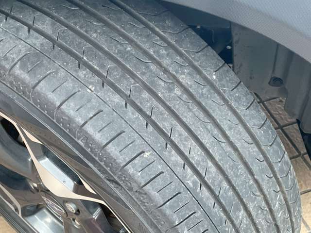 XV 2019/R01