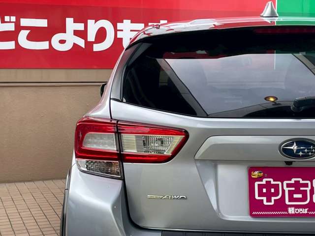 XV 2019/R01