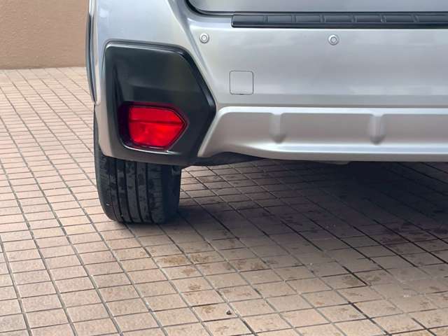 XV 2019/R01
