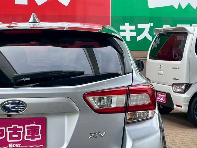 XV 2019/R01