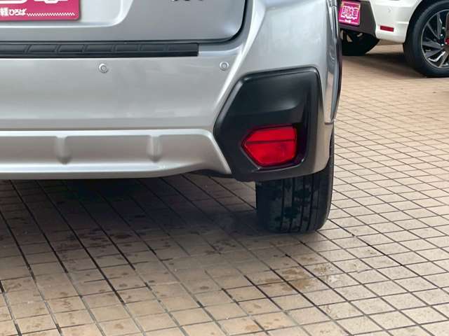 XV 2019/R01