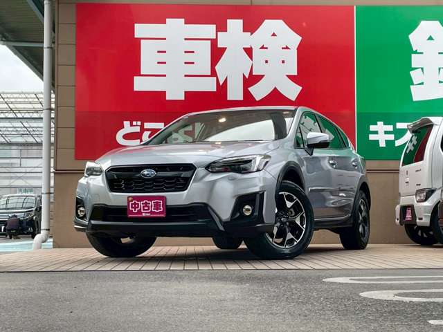 XV 2019/R01