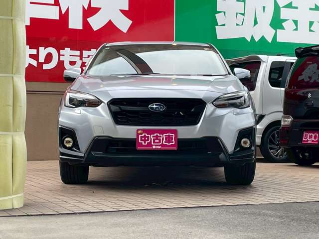 XV 2019/R01