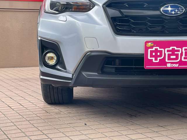 XV 2019/R01
