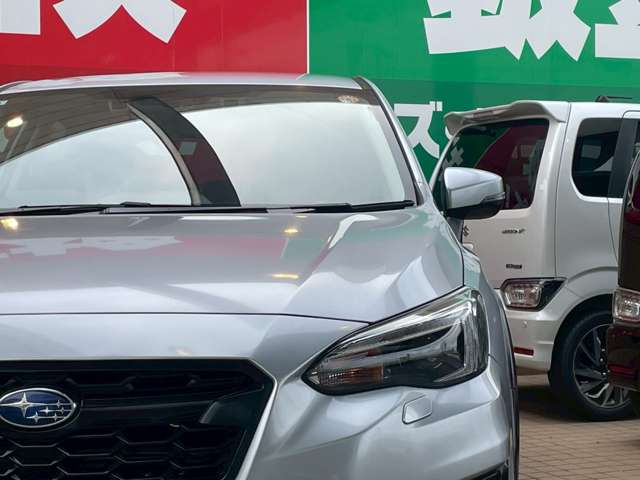 XV 2019/R01