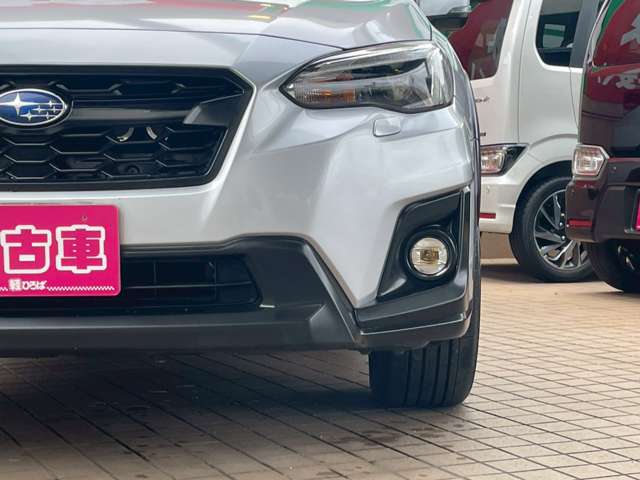 XV 2019/R01