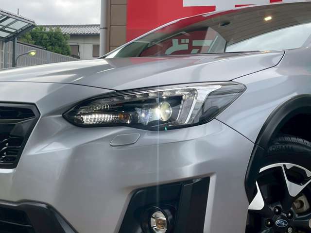 XV 2019/R01