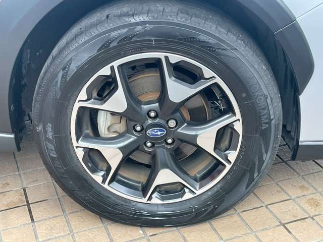 XV 2019/R01