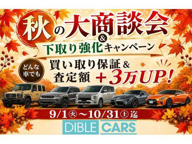 ハイラックスサーフ 2006/H18