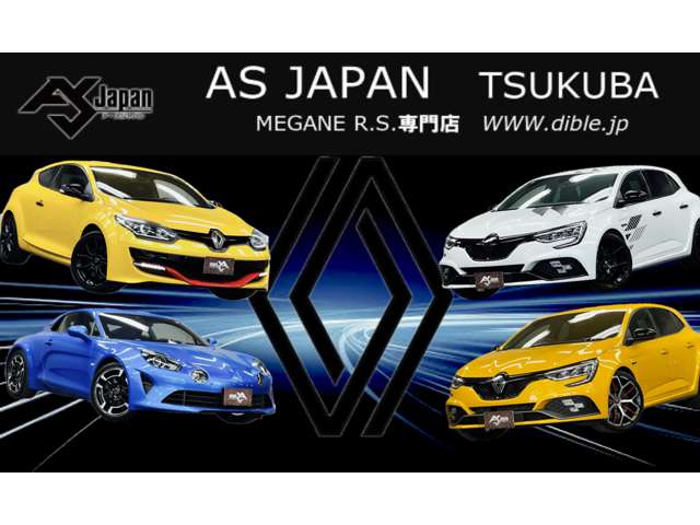 メガーヌ 2013/H25