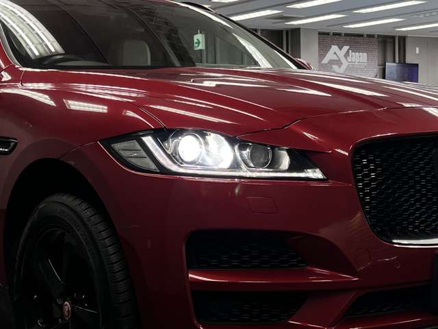 Fペイス 2019/R01