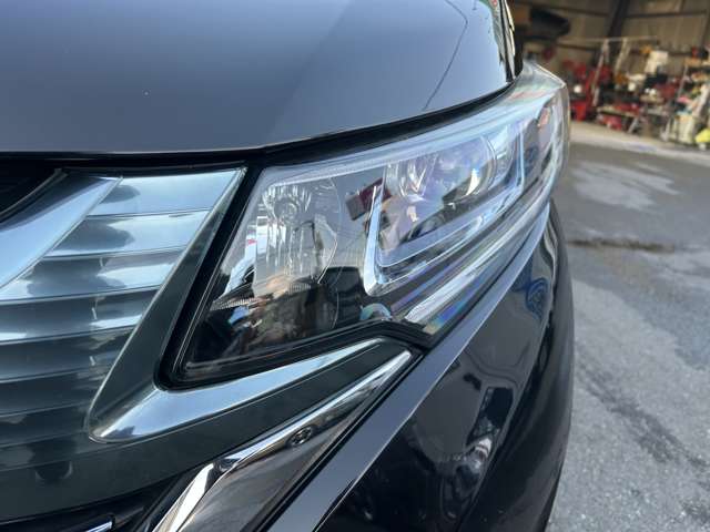 フリード 2019/H31