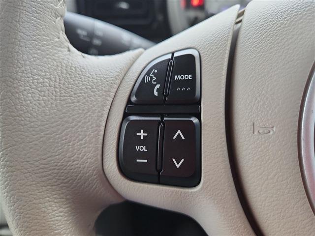 アルトラパン 2019/R1