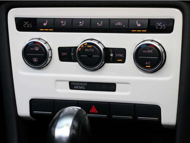 ザ・ビートル・カブリオレ 2013/H25