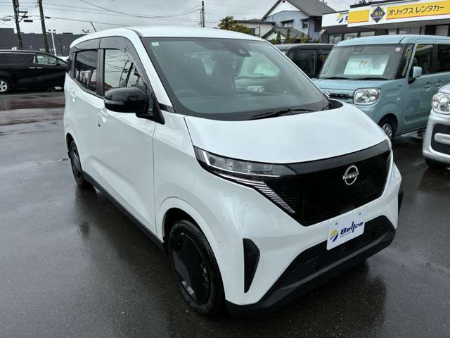 サクラ 2024/R06