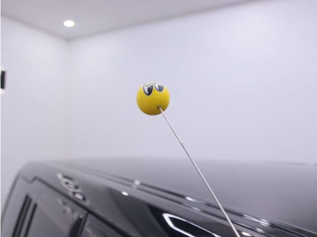 プロボックスバン 2024/R06