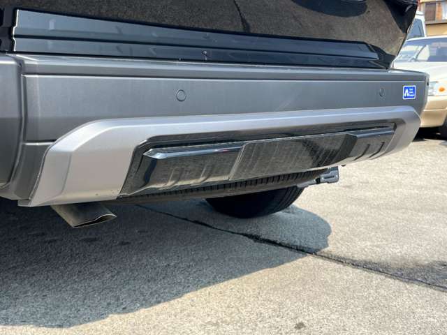 ランドクルーザー250 2024/R06