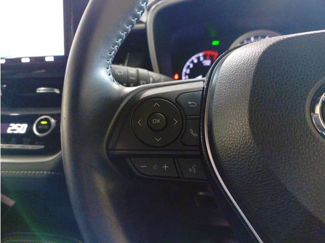 カローラスポーツ 2019/R01