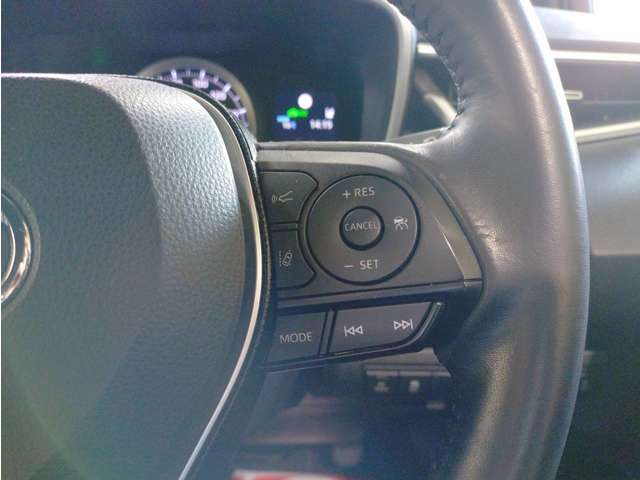 カローラスポーツ 2019/R01