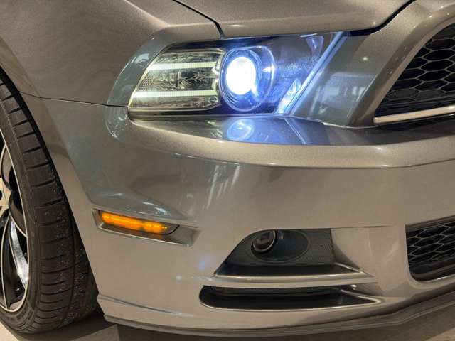 マスタング 2014/H26