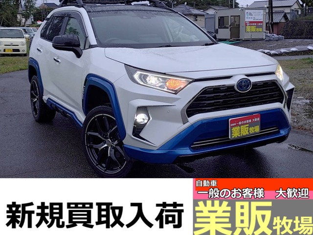 RAV4 2019/R01