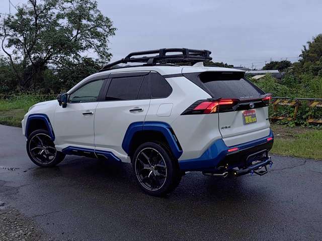 RAV4 2019/R01