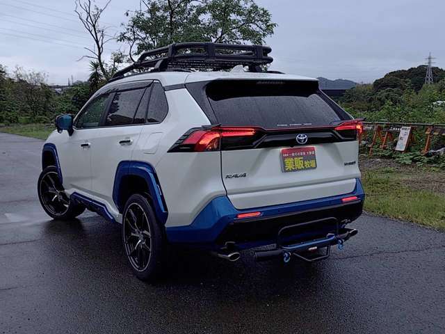 RAV4 2019/R01