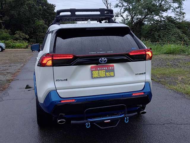 RAV4 2019/R01