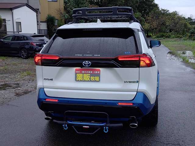 RAV4 2019/R01