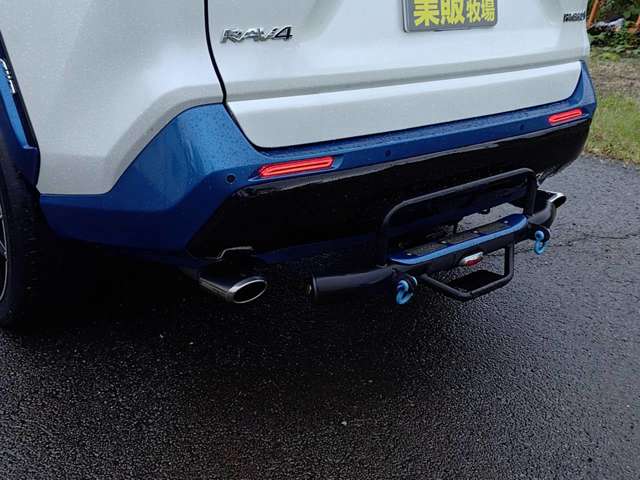 RAV4 2019/R01