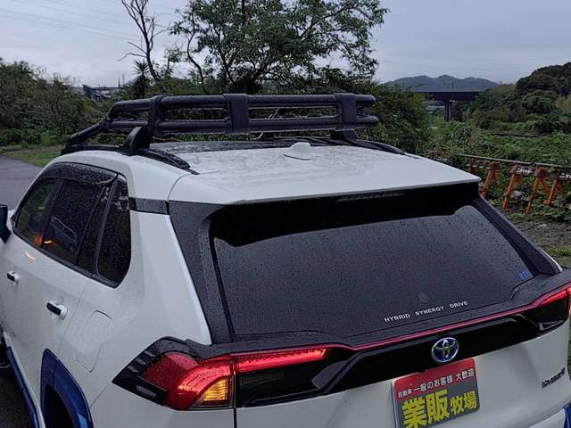 RAV4 2019/R01
