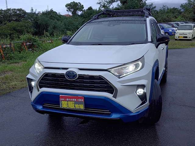 RAV4 2019/R01