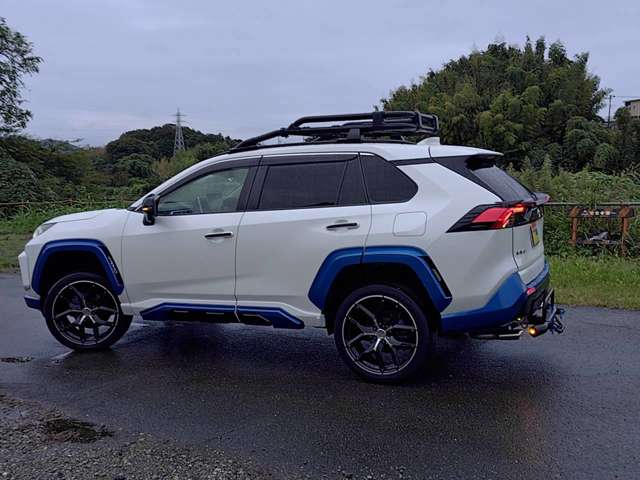 RAV4 2019/R01