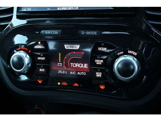 ジューク 2013/H25