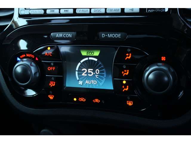 ジューク 2013/H25