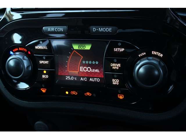 ジューク 2013/H25