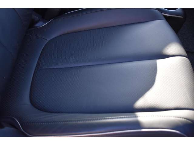 アイオニック5 2024/R06