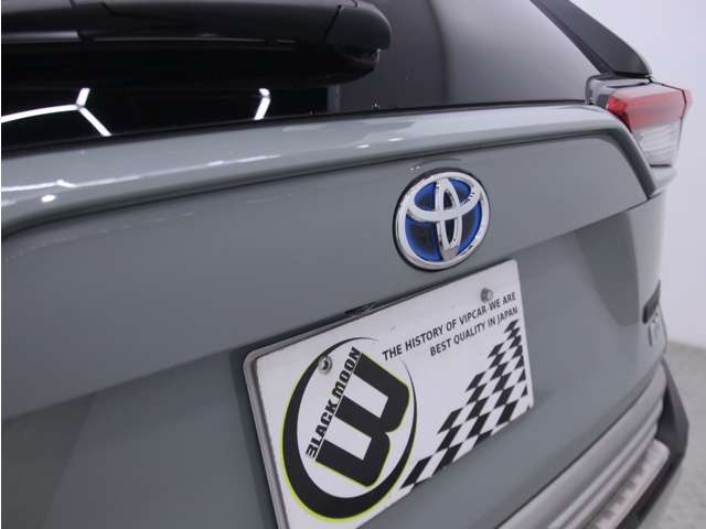 RAV4 2022/R04