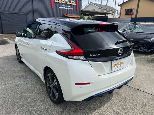 リーフ 2018/H30
