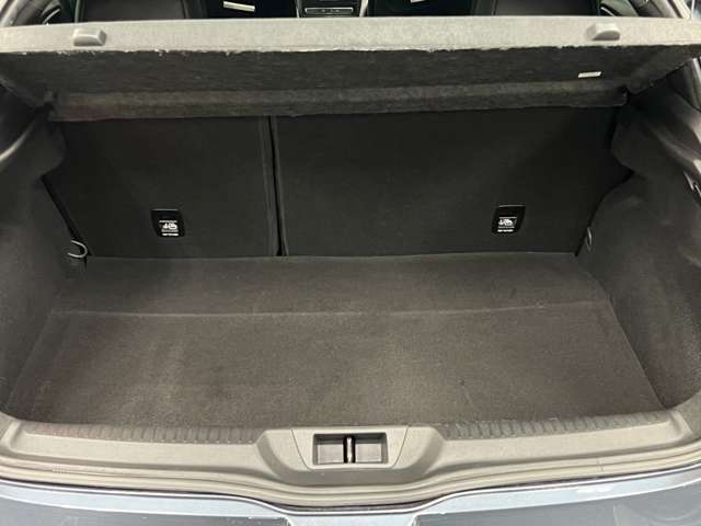 メガーヌ 2020/R02