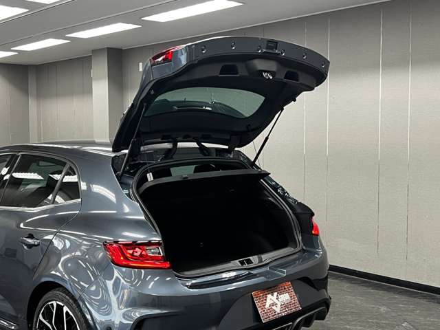 メガーヌ 2019/R01