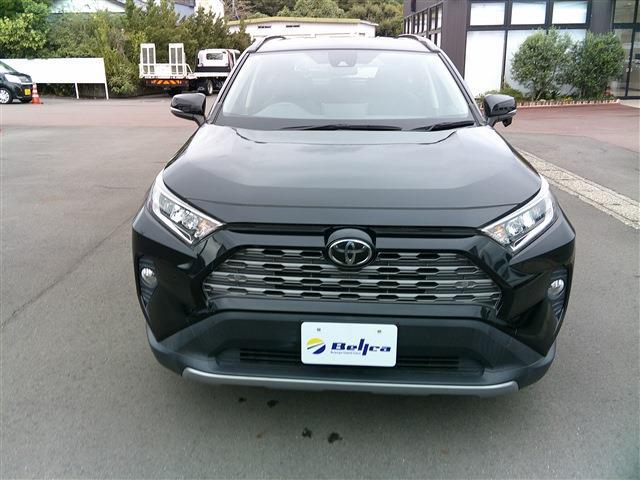 RAV4 2019/R01