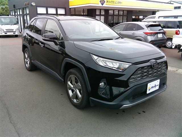 RAV4 2019/R01