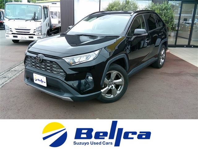 RAV4 2019/R01