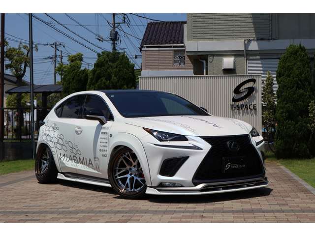 NX 2019/R01
